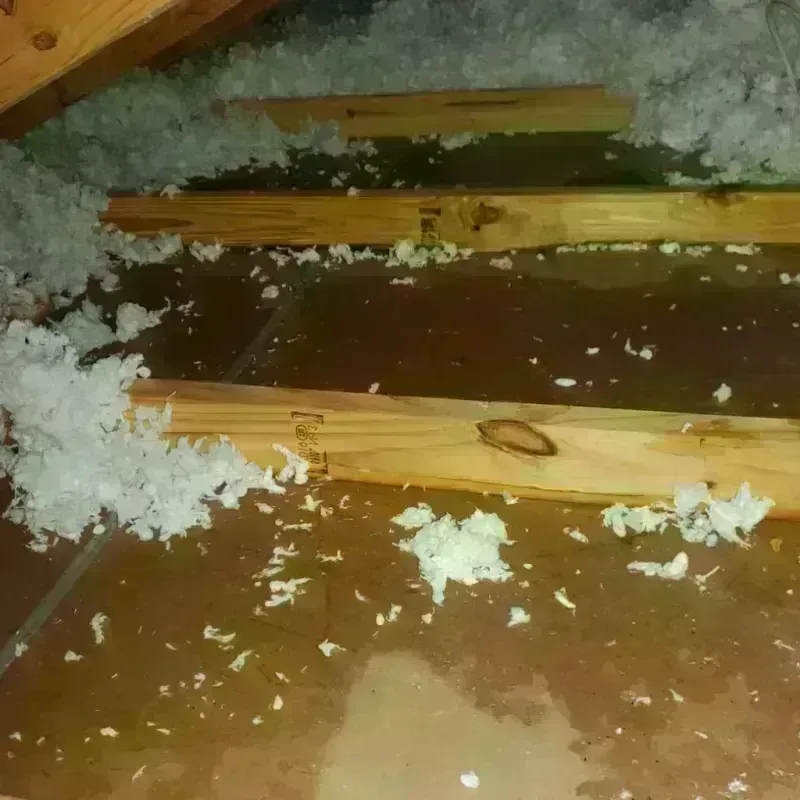 Attic Water Damage in Fairview, OR