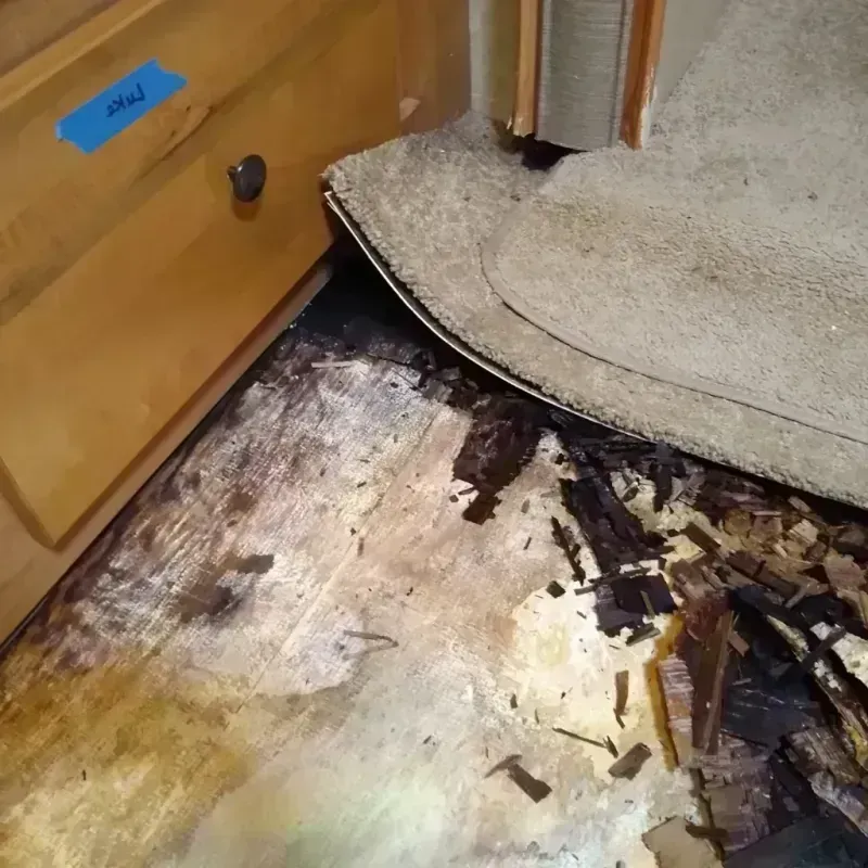 Best Wood Floor Water Damage Service in Fairview, OR